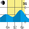 Ano Nuevo tide chart for Saturday, July 31, 2021
