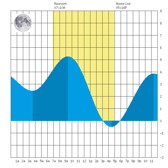 Ano Nuevo tide chart for Friday, November 19, 2021