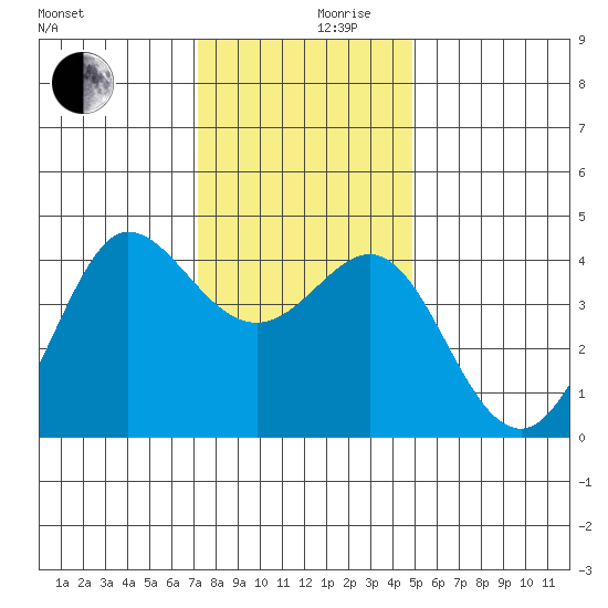 Ano Nuevo tide chart for Friday, December 10, 2021