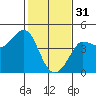 Ano Nuevo tide chart for Tuesday, January 31, 2023
