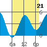 Ano Nuevo tide chart for Wednesday, August 21, 2024