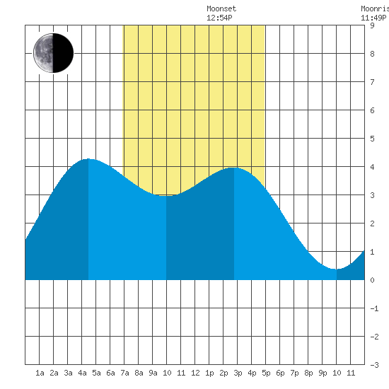 Ano Nuevo tide chart for Friday, November 22, 2024
