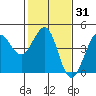 Ano Nuevo tide chart for Friday, January 31, 2025