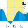 Ano Nuevo tide chart for Saturday, May 31, 2025