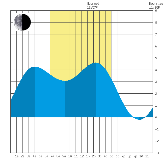 Ano Nuevo tide chart for Tuesday, November 11, 2025