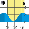 Ano Nuevo tide chart for Saturday, May 9, 2026