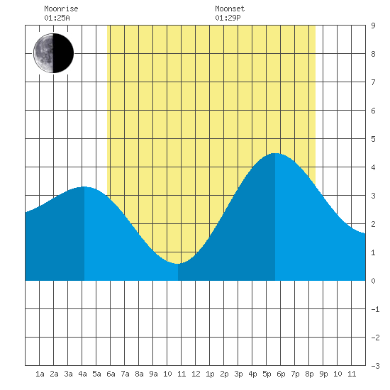 Ano Nuevo tide chart for Monday, June 8, 2026