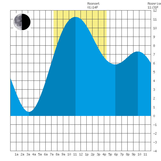 Duwamish Waterway tide chart for Friday, November 22, 2024