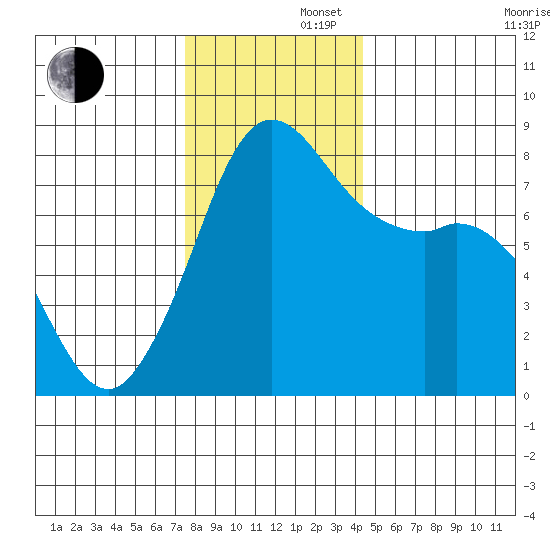 Echo Bay tide chart for Friday, November 22, 2024