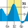 Edgerley Island tide chart for Saturday, January 31, 2026
