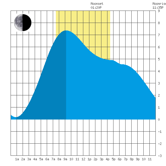 Ediz Hook tide chart for Friday, November 22, 2024