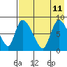 Apokak Creek Entrance tide chart for Sunday, August 11, 2024