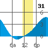Apoon Mouth tide chart for Tuesday, December 31, 2024