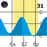 Elkhorn tide chart for Thursday, March 31, 2022