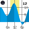 Falcon Arm tide chart for Tuesday, January 12, 2021