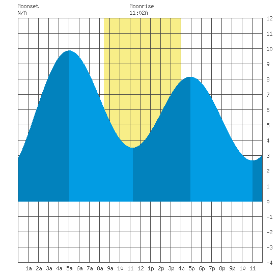 Falcon Arm tide chart for Tuesday, January 19, 2021