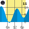 Falcon Arm tide chart for Tuesday, May 11, 2021