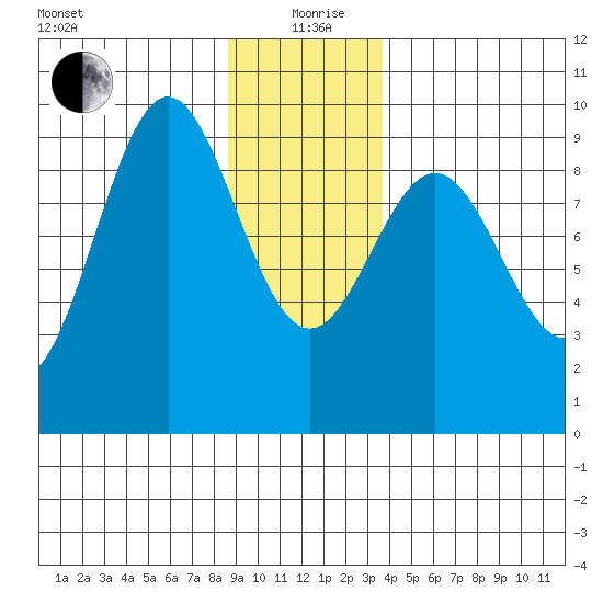 Falcon Arm tide chart for Sunday, January 9, 2022
