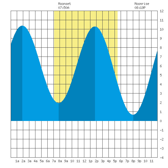 Falcon Arm tide chart for Monday, February 26, 2024