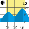 Falcon Arm tide chart for Monday, August 12, 2024
