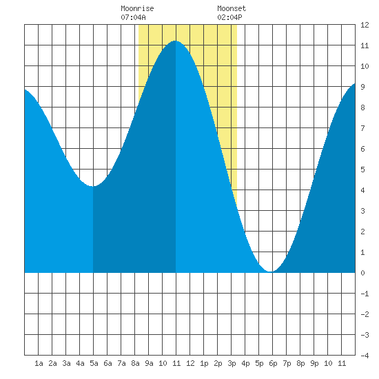 Falcon Arm tide chart for Friday, November 29, 2024