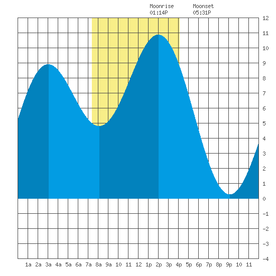 Falcon Arm tide chart for Tuesday, November 5, 2024