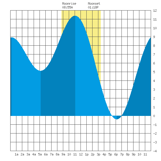 Falcon Arm tide chart for Sunday, December 29, 2024