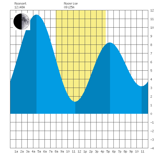 Falcon Arm tide chart for Tuesday, February 4, 2025