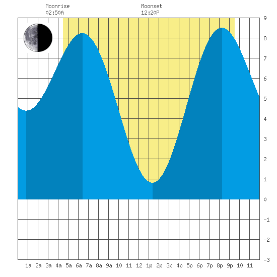 Falcon Arm tide chart for Tuesday, May 20, 2025
