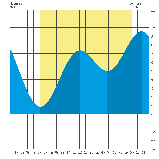 Falcon Arm tide chart for Tuesday, August 5, 2025