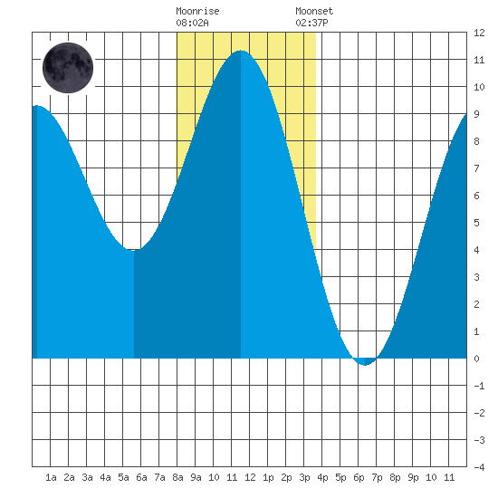 Falcon Arm tide chart for Wednesday, November 19, 2025