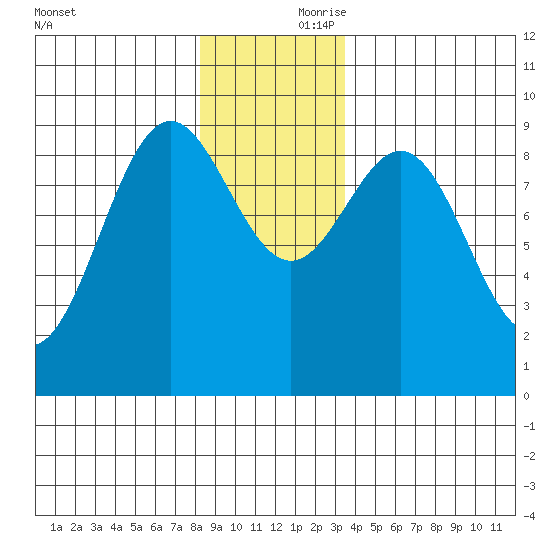 Falcon Arm tide chart for Friday, November 28, 2025