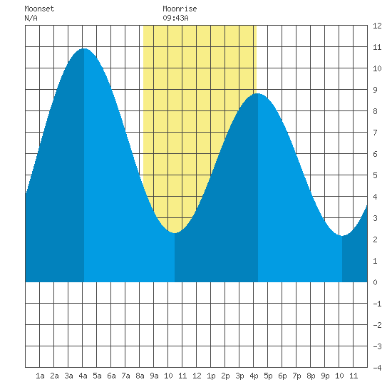 Falcon Arm tide chart for Saturday, January 24, 2026