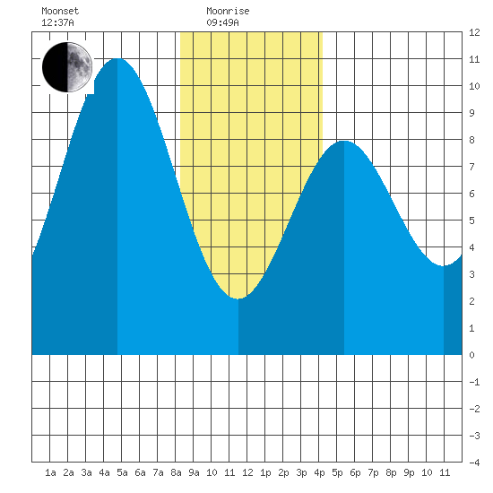 Falcon Arm tide chart for Sunday, January 25, 2026