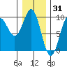 Falcon Arm tide chart for Saturday, January 31, 2026