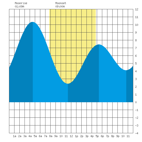 Falcon Arm tide chart for Sunday, February 8, 2026