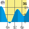 Falcon Arm tide chart for Sunday, May 31, 2026