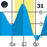 Florence tide chart for Monday, January 31, 2022