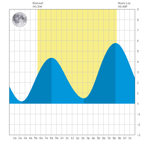 Verrazzano-Narrows Bridge tide chart for Friday, June 21, 2024