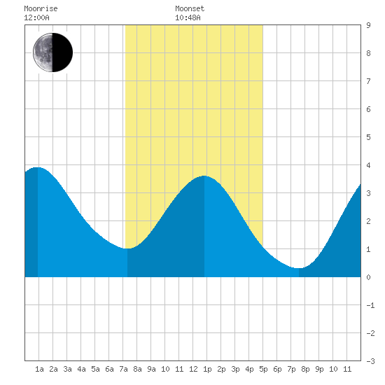 Fort Wadsworth tide chart for Tuesday, January 21, 2025