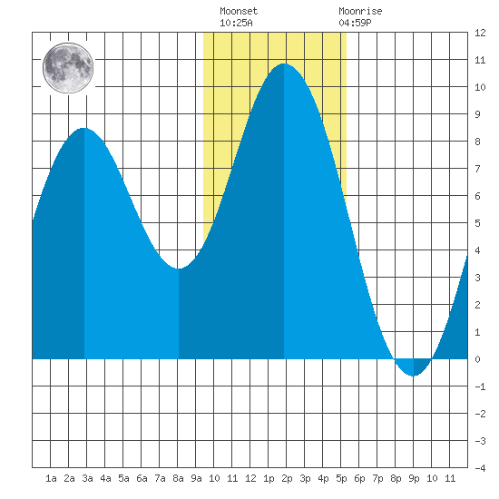 Fox Bay tide chart for Thursday, January 25, 2024
