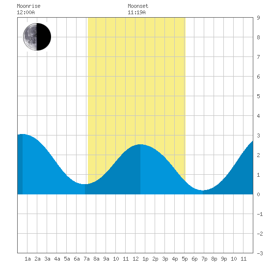 Duck tide chart for Saturday, January 10, 2026