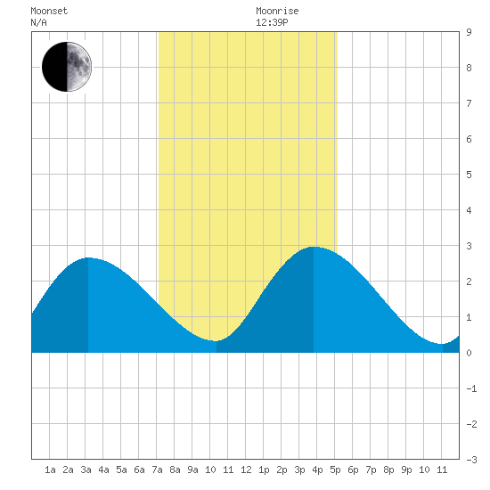 Arundel Plantation tide chart for Friday, December 10, 2021
